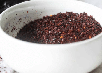 A close-up of a white bowl filled with ground sumac and ancho chili powder, both boasting rich colors and coarse textures, sitting on a light surface.