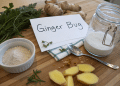 ginger bug recipe