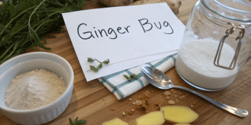 Fresh ginger root, sliced ginger, a jar of sugar, powdered ginger, herbs, and a spoon arranged on a wooden surface with a card labeled Ginger Bug—perfect ingredients for trying your own ginger bug recipe.