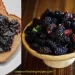 A slice of bread with dark berry jam, possibly made from mulberries, sits next to a bowl filled with fresh blackberries and a small jar of jam on a wooden surface.